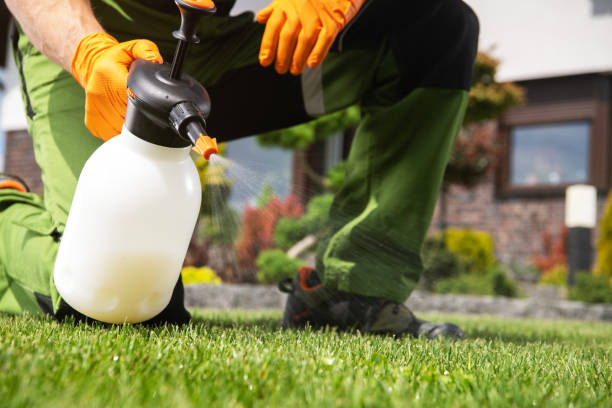 Pest Prevention Services in Donora, PA