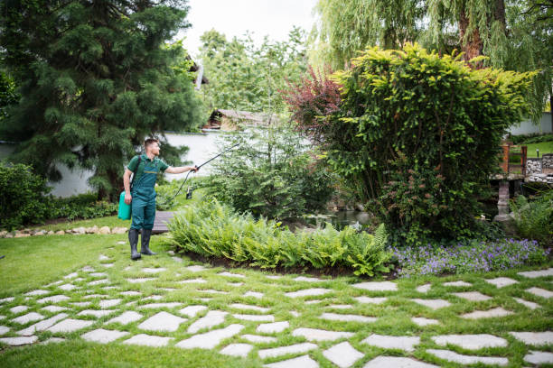 Best Residential Pest Control  in Donora, PA