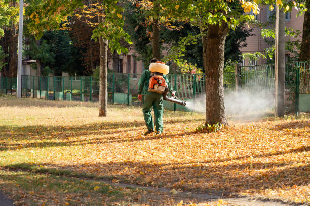 Best Pest Prevention Services  in Donora, PA